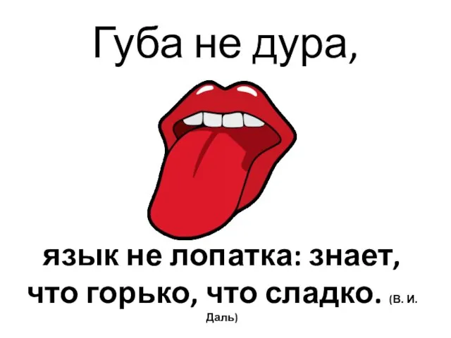 Губа не дура, язык не лопатка: знает, что горько, что сладко. (В. И. Даль)