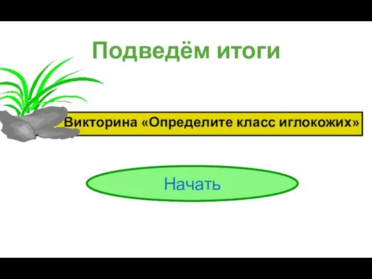 Подведём итоги Викторина «Определите класс иглокожих» Начать