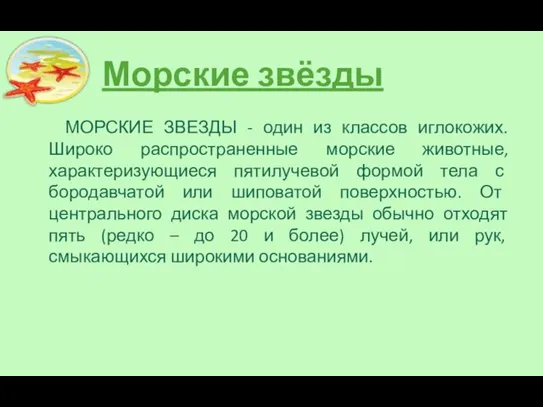 Морские звёзды МОРСКИЕ ЗВЕЗДЫ - один из классов иглокожих. Широко распространенные