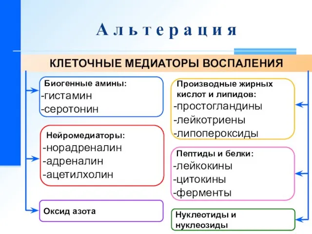 КЛЕТОЧНЫЕ МЕДИАТОРЫ ВОСПАЛЕНИЯ А л ь т е р а ц