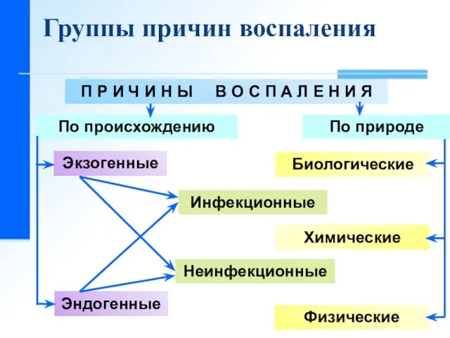 Группы причин воспаления П Р И Ч И Н Ы В