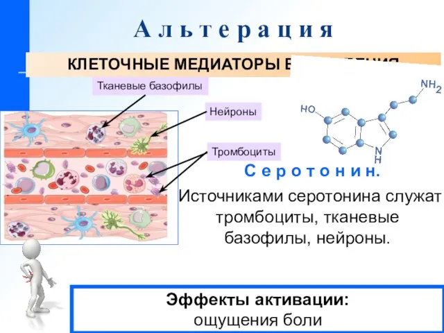 А л ь т е р а ц и я КЛЕТОЧНЫЕ