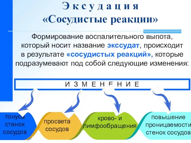 Э к с у д а ц и я «Сосудистые реакции»