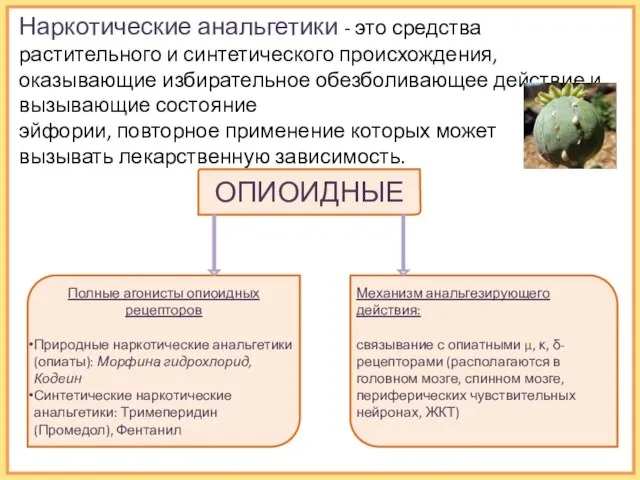 Наркотические анальгетики - это средства растительного и синтетического происхождения, оказывающие избирательное