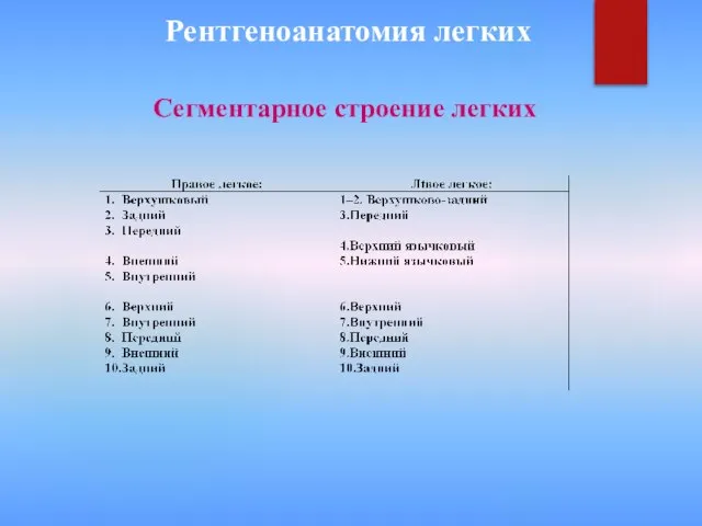 Рентгеноанатомия легких Сегментарное строение легких