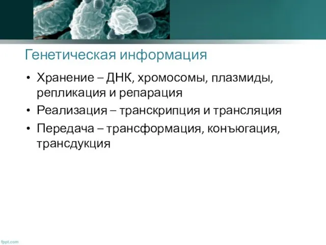 Генетическая информация Хранение – ДНК, хромосомы, плазмиды, репликация и репарация Реализация