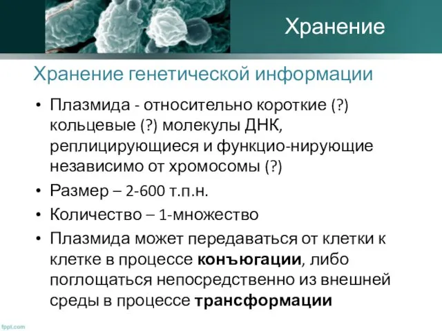 Хранение генетической информации Плазмида - относительно короткие (?) кольцевые (?) молекулы