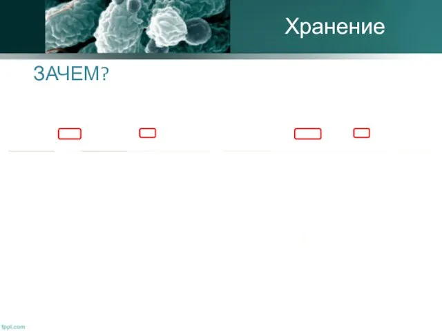 ЗАЧЕМ? Хранение