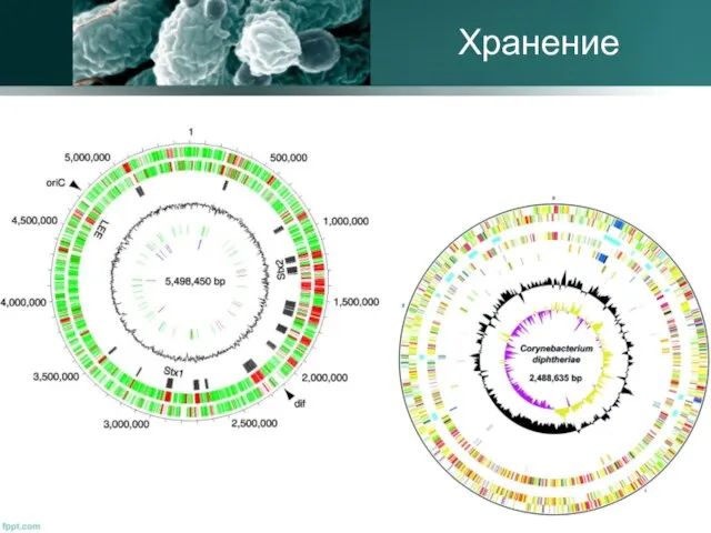 Хранение