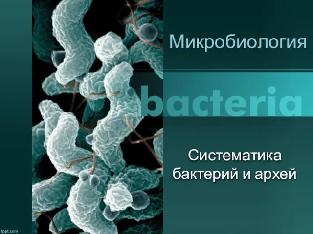 Систематика бактерий и архей Микробиология