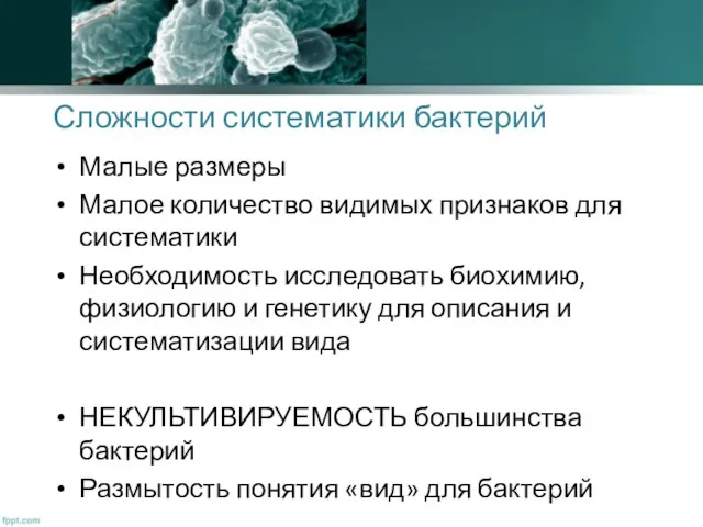 Сложности систематики бактерий Малые размеры Малое количество видимых признаков для систематики