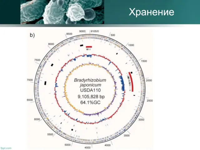 Хранение