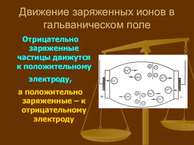 Движение заряженных ионов в гальваническом поле Отрицательно заряженные частицы движутся к