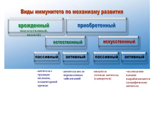 антитела с грудным молоком, плацентарной кровью антитела после перенесенных заболеваний вводятся