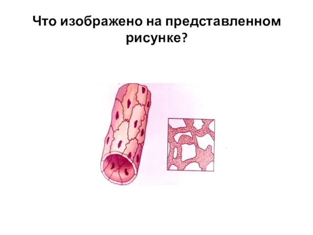 Что изображено на представленном рисунке?