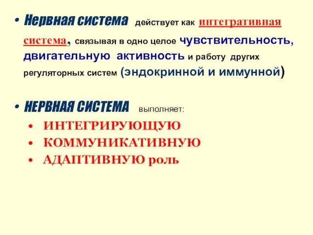 Нервная система действует как интегративная система, связывая в одно целое чувствительность,