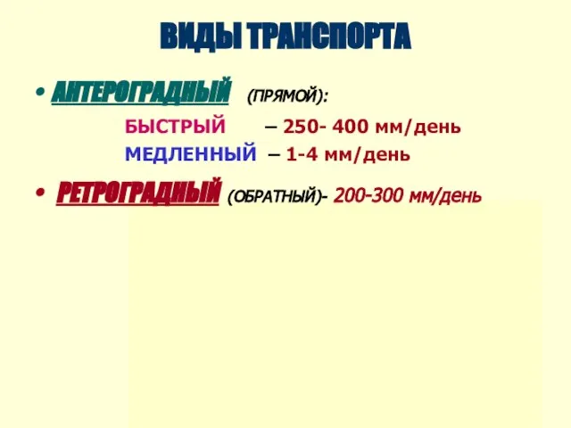 ВИДЫ ТРАНСПОРТА АНТЕРОГРАДНЫЙ (ПРЯМОЙ): БЫСТРЫЙ – 250- 400 мм/день МЕДЛЕННЫЙ –