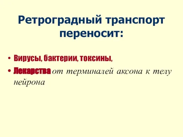 Ретроградный транспорт переносит: Вирусы, бактерии, токсины, Лекарства от терминалей аксона к телу нейрона