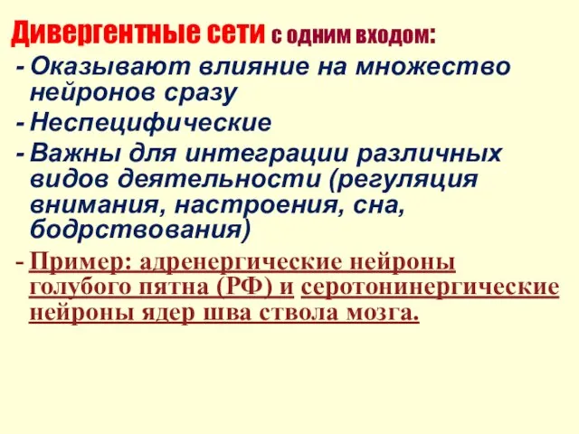 Дивергентные сети с одним входом: Оказывают влияние на множество нейронов сразу