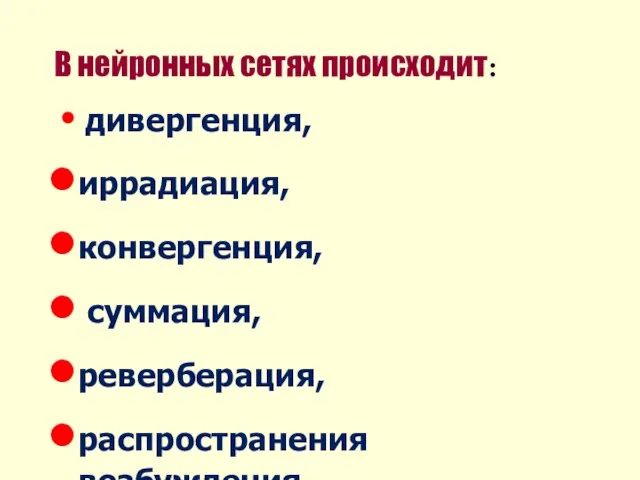 В нейронных сетях происходит: дивергенция, иррадиация, конвергенция, суммация, реверберация, распространения возбуждения.