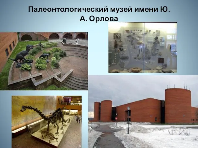 Палеонтологический музей имени Ю.А. Орлова