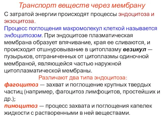 Транспорт веществ через мембрану С затратой энергии происходят процессы эндоцитоза и