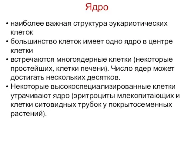 наиболее важная структура эукариотических клеток большинство клеток имеет одно ядро в