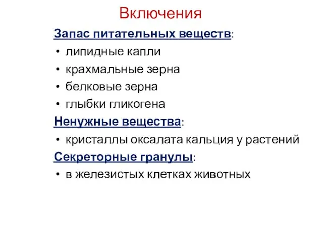 Включения Запас питательных веществ: липидные капли крахмальные зерна белковые зерна глыбки