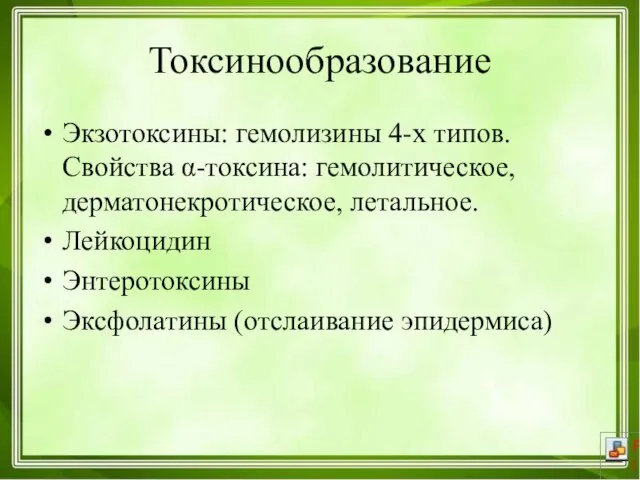 Токсинообразование Экзотоксины: гемолизины 4-х типов. Свойства α-токсина: гемолитическое, дерматонекротическое, летальное. Лейкоцидин Энтеротоксины Эксфолатины (отслаивание эпидермиса)