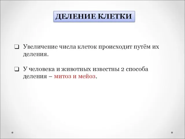 Увеличение числа клеток происходит путём их деления. У человека и животных