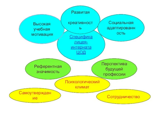 Референтная значимость Сотрудничество Перспектива будущей профессии Самоутверждение Специфика лицея-интерната ЦОД Психологический