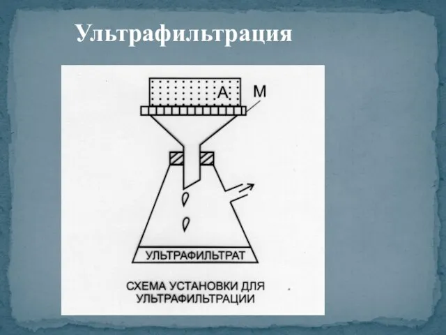 Ультрафильтрация