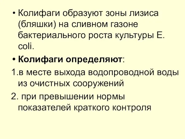 Колифаги образуют зоны лизиса (бляшки) на сливном газоне бактериального роста культуры