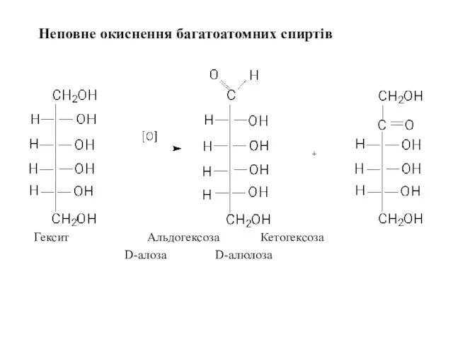 Неповне окиснення багатоатомних спиртів Гексит Альдогексоза Кетогексоза D-алоза D-алюлоза