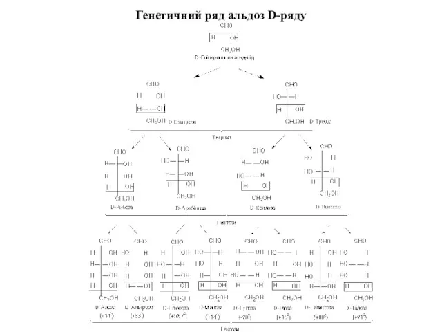 Генетичний ряд альдоз D-ряду