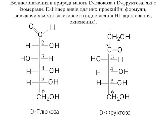 Велике значення в природі мають D-глюкоза і D-фруктоза, які є ізомерами.