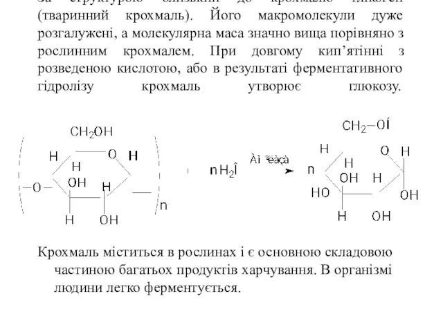 За структурою близький до крохмалю глікоген (тваринний крохмаль). Його макромолекули дуже