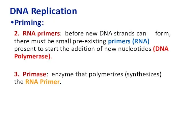 DNA Replication Priming: 2. RNA primers: before new DNA strands can