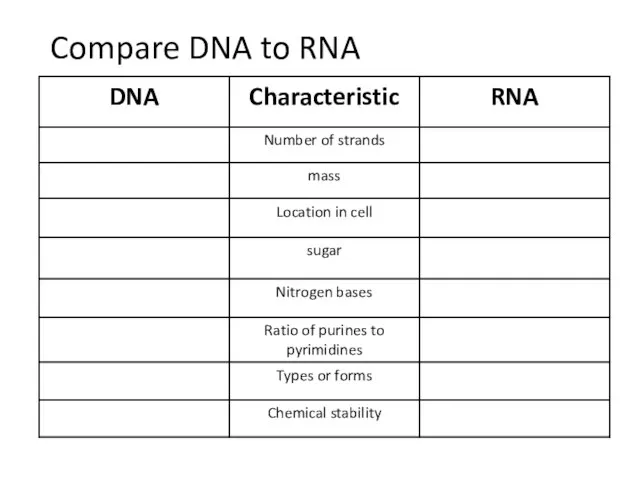 Compare DNA to RNA