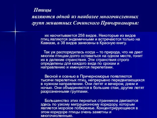 Птицы являются одной из наиболее многочисленных групп животных Сочинского Причерноморья: их