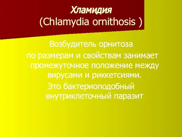 Хламидия (Chlamydia ornithosis ) Возбудитель орнитоза по размерам и свойствам занимает