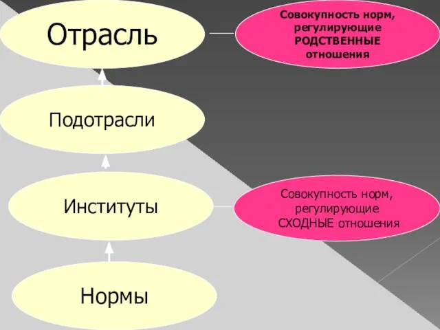 Нормы Институты Подотрасли Отрасль Совокупность норм, регулирующие СХОДНЫЕ отношения Совокупность норм, регулирующие РОДСТВЕННЫЕ отношения