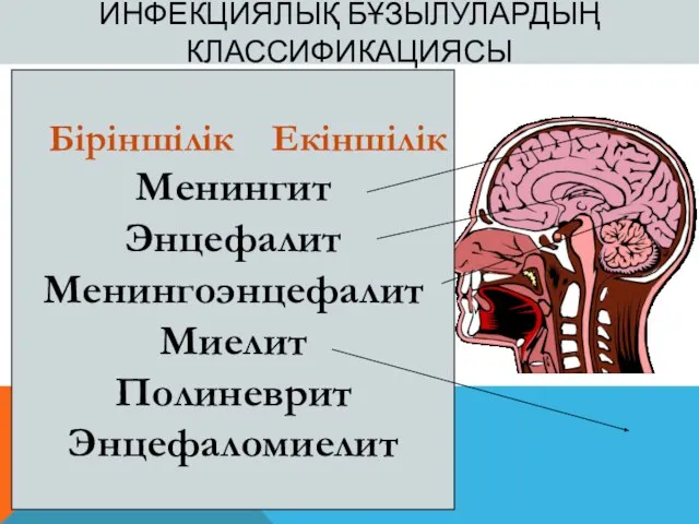 ИНФЕКЦИЯЛЫҚ БҰЗЫЛУЛАРДЫҢ КЛАССИФИКАЦИЯСЫ Біріншілік Екіншілік Менингит Энцефалит Менингоэнцефалит Миелит Полиневрит Энцефаломиелит