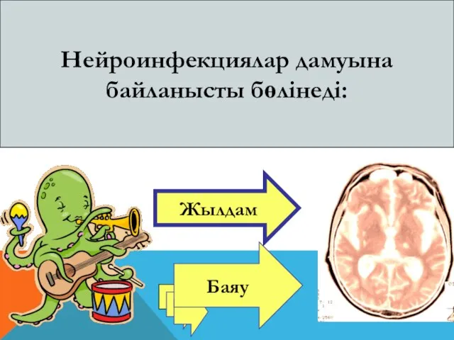 Нейроинфекциялар дамуына байланысты бөлінеді: Жылдам Баяу