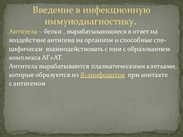 Антитела – белки , вырабатывающиеся в ответ на воздействие антигена на