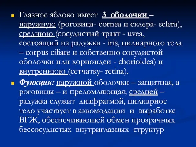 Глазное яблоко имеет 3 оболочки – наружную (роговица- cornea и склера-