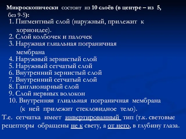 Микроскопически состоит из 10 слоёв (в центре – из 5, без