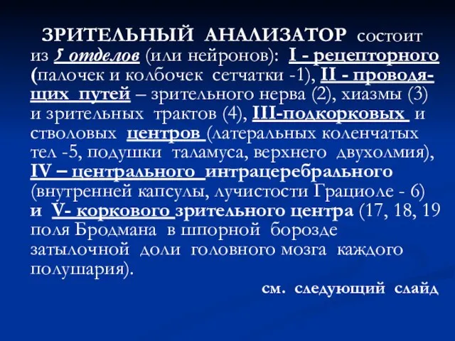 ЗРИТЕЛЬНЫЙ АНАЛИЗАТОР состоит из 5 отделов (или нейронов): I - рецепторного