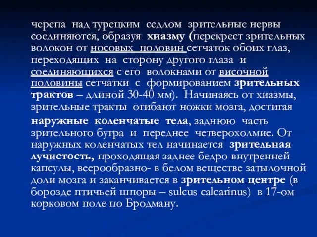 черепа над турецким седлом зрительные нервы соединяются, образуя хиазму (перекрест зрительных