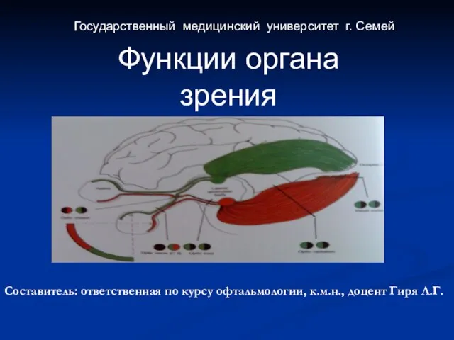 Функции органа зрения Государственный медицинский университет г. Семей Составитель: ответственная по